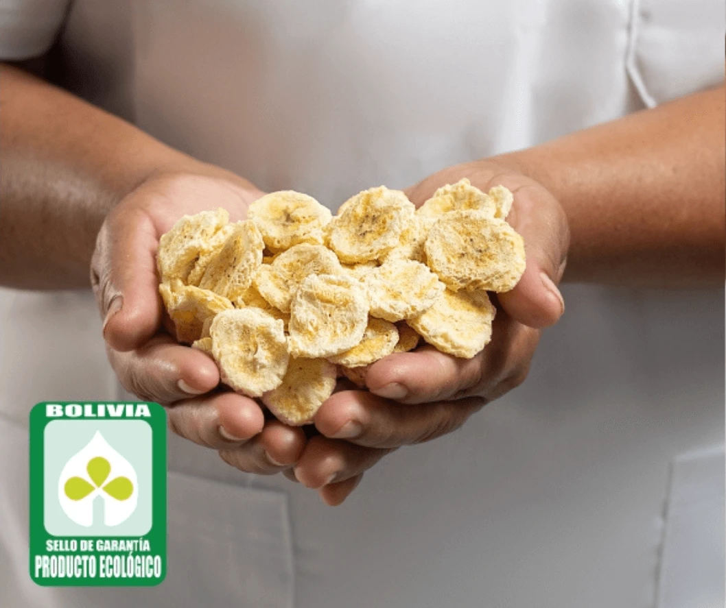 BANANA – Organic Freeze-Dried